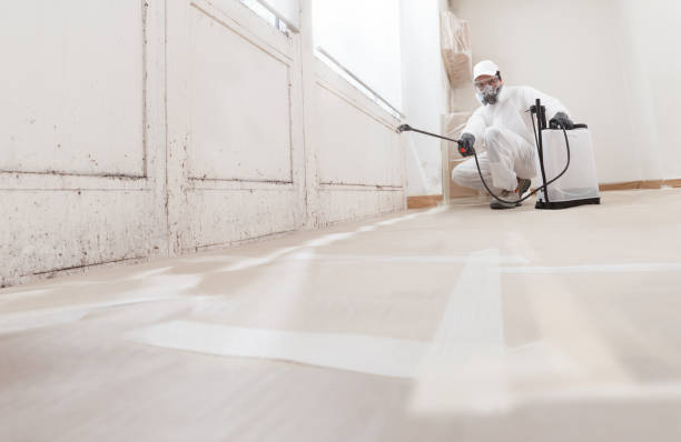 24/7 Emergency Mold Remediation experts in Salem, VA